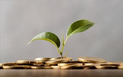 En grön planta som växer i en hög med mynt