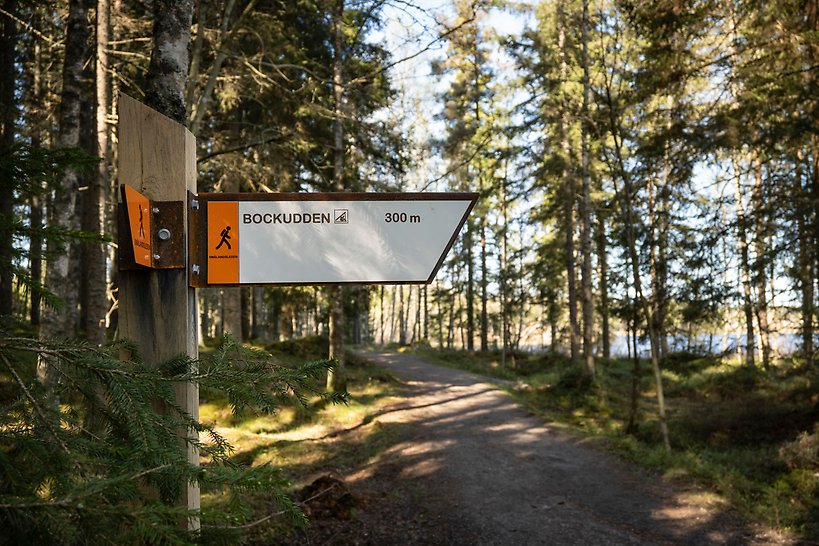 Vägvisare vid led, skog, sjö i bakgrunden. 